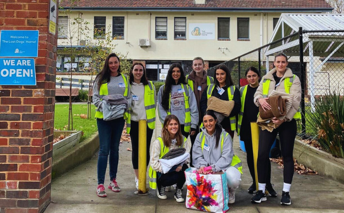 Jivaro Melbourne Volunteers at The Lost Dogs Home: Caring for Pets in Need